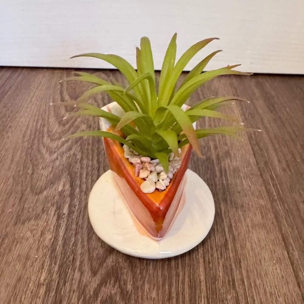 Fall Thanksgiving Pumpkin Pie Ceramic Planter with Green Succulent
